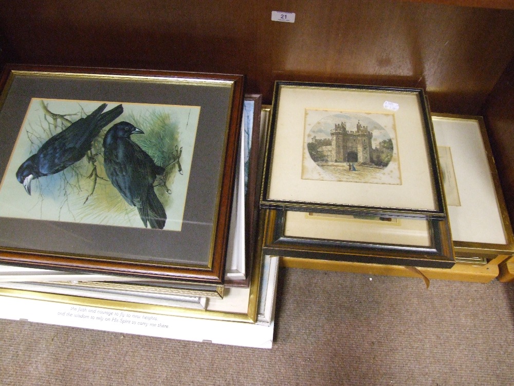 A watercolour, Ralph Waterhouse Blue Tit and a set of prints, bird interest, an 18th century