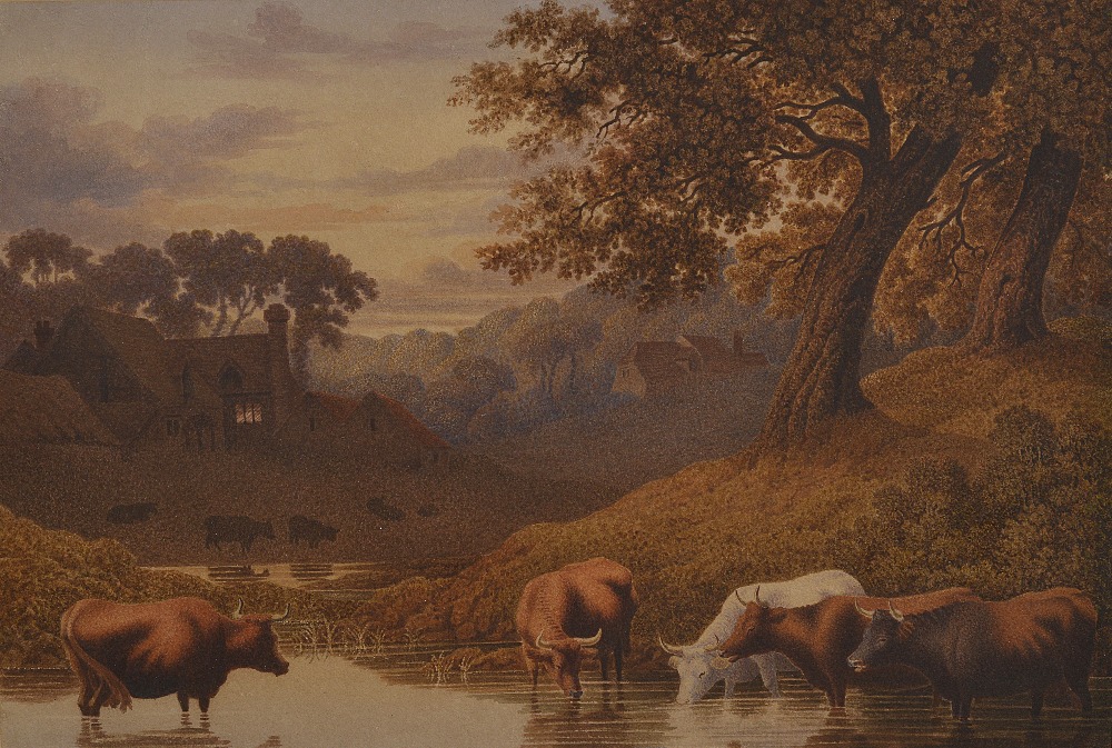 ROBERT HILLS (1769-1844) CATTLE WATERING IN A WOODED LANDSCAPE watercolour 28cm x 41cm; 11in x 16