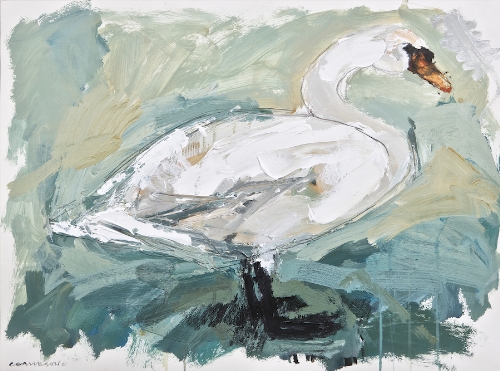 Colin Davidson PRUA (b.1968) 
Swan
Oil, 56 x 76cm (22 x 30")
Signed

Exhibited: "Modern view"