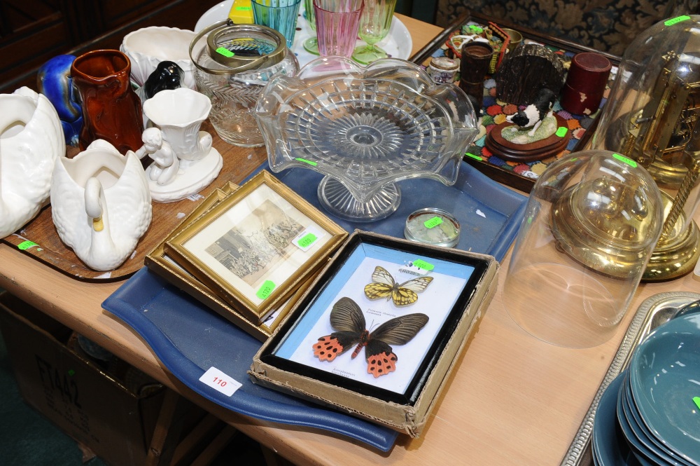 A tray including a paperweight, pressed glass cake stand, reproduction butterfly taxidermy and a set