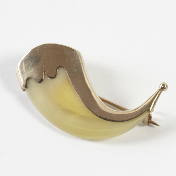 Tiger dew claw brooch, approx. 35mm, top & side encased in gold frame, stamped 9ct (gross 3.5g)