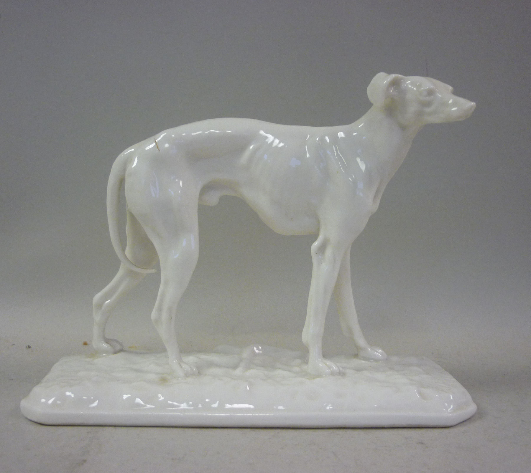 A Nymphenburg ivory glazed porcelain model, a standing hound, on a canted, naturalistically