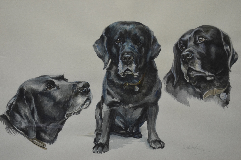 Michelle Pearson Cooper - 'Oscar' - Three studies of a black labrador, watercolour, signed lower