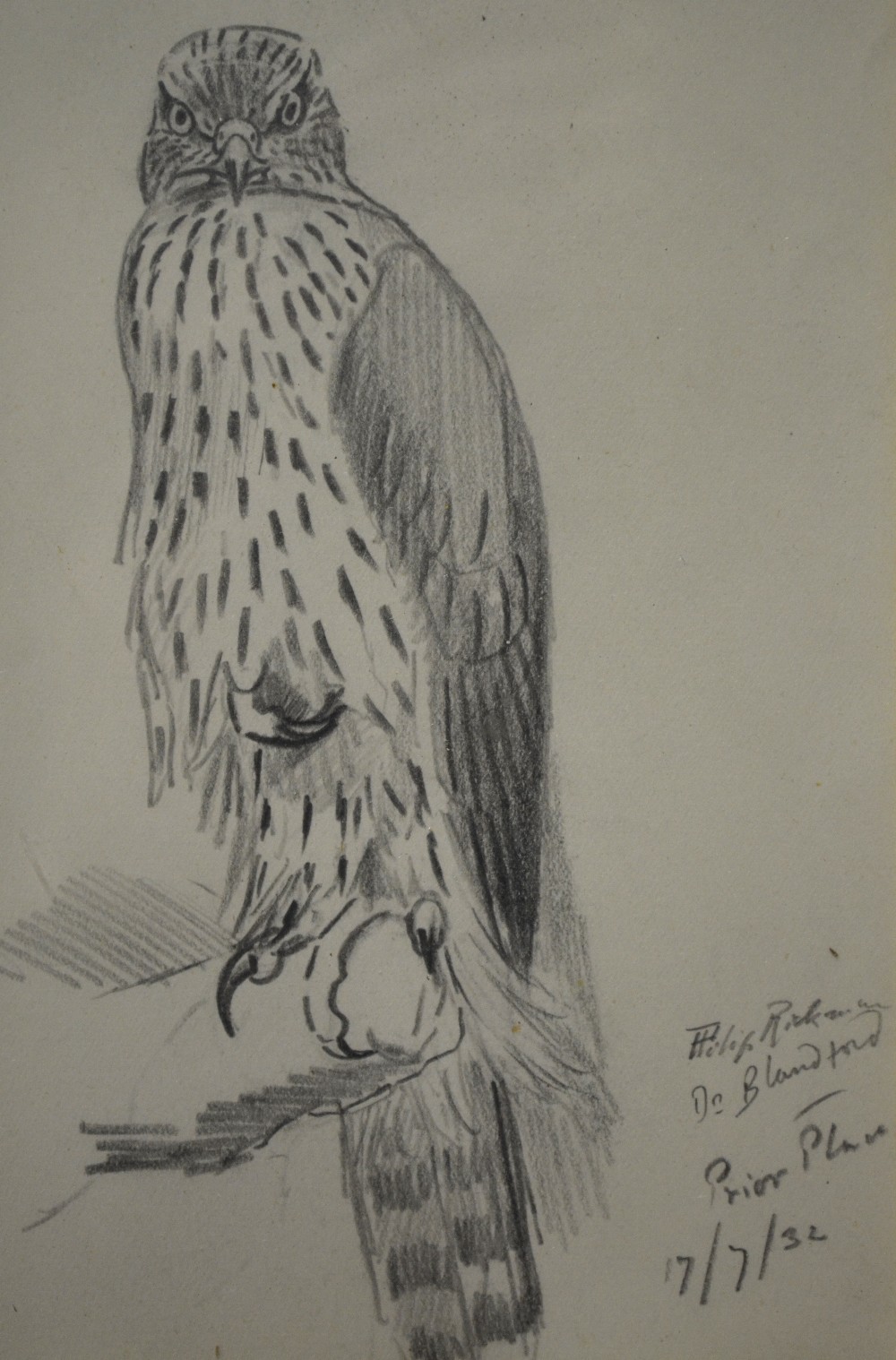 Philip Rickman (1891-1982) - Pencil study of an eagle, signed, inscribed and dated 17/7/32, 16 x