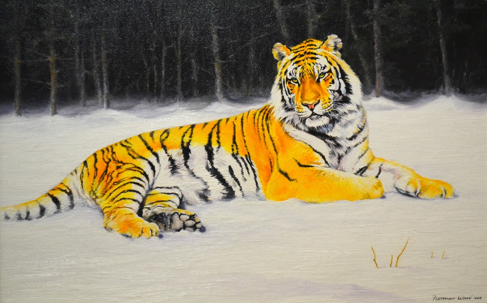 Norman Ward (b. 1960) - Siberian tiger in a snowy landscape, oil on canvas, signed and dated 1999,