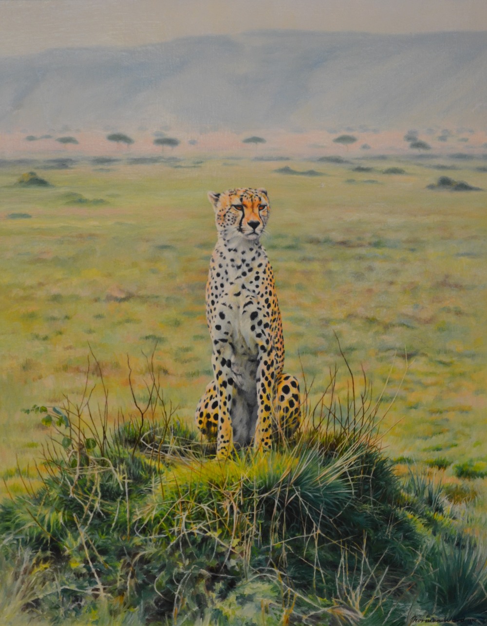 Norman Ward (b. 1960) - 'Cheetah in Maasai Mara', oil on canvas, signed and dated 1997, 74 x 60 cm