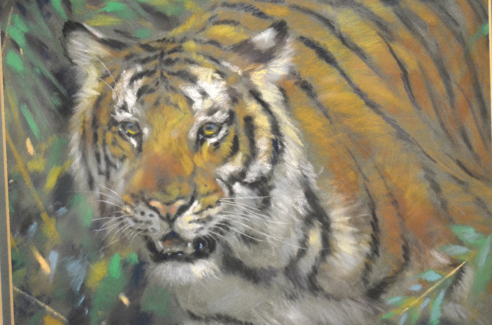 **Joel Kirk (b. 1948) - Study of a tiger's head, signed, pastel, 24 x 30 cm
** This lot may be