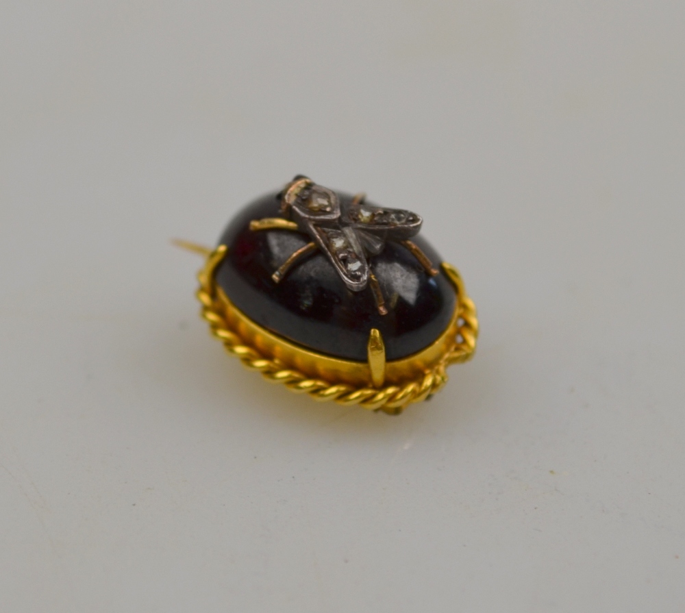 Oval cabochon garnet brooch with diamond set fly in centre, yellow gold rope and claw setting