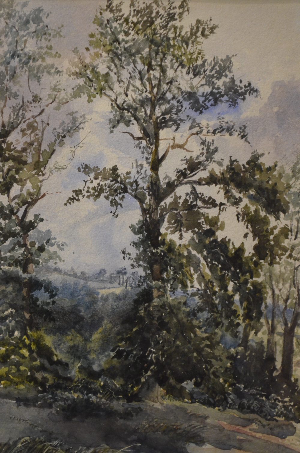 English school - Trees in an undulating landscape, watercolour, 24 x 16.5 cm