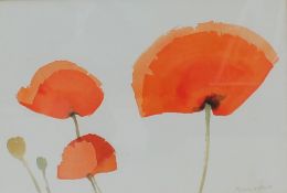 Richard A Wills Poppies Watercolour Signed 32.5 x 48cm