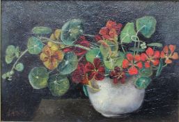 S.A. Hill
Still life study of Nasturtiums in a vase
Oil on boards
Signed
23 x 33.5 cm