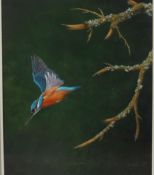 Michael J Clark
Kingfisher in flight
Acrylics
Signed and dated 1991
35 x 43 cm