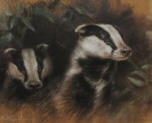 Mick Cawston
Badgers emerging from the undergrowth
Pastels
Signed
37 x 44.5cm
***This lot is subject