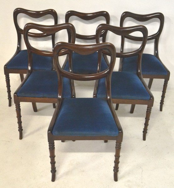 A SET OF SIX VICTORIAN MAHOGANY DINING CHAIRS the backs with hooped rails above upholstered let-in