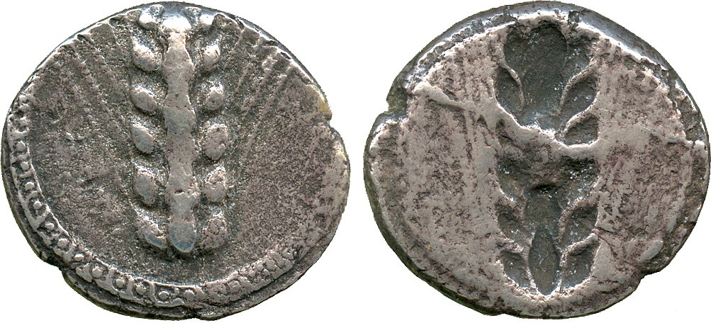 ANCIENT COINS. Greek. Lucania, Metapontum (c.470-440 BC), Silver Incuse Stater, META, ear of corn,