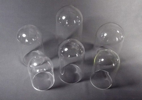 GLASS DOMES
Five various glass domes & one clear plastic dome.