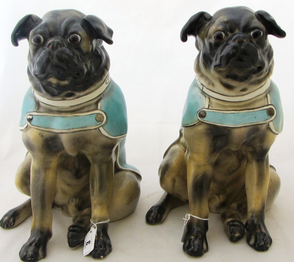 A pair of German porcelain pug dogs, C.1900, each seated and wearing a blue coat held by a strap