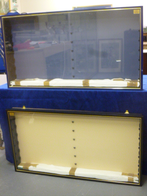 Two glass fronted wall hanging display cabinets one with blue trim with 7 glass shelves (outer