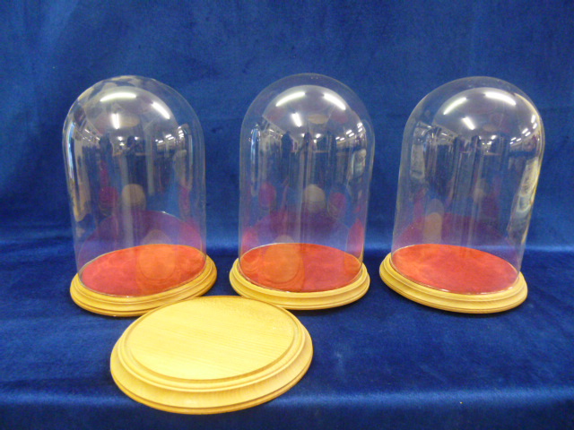 Three glass domes with wooden bases together with a spare base, diameter of glass is 20cms and total