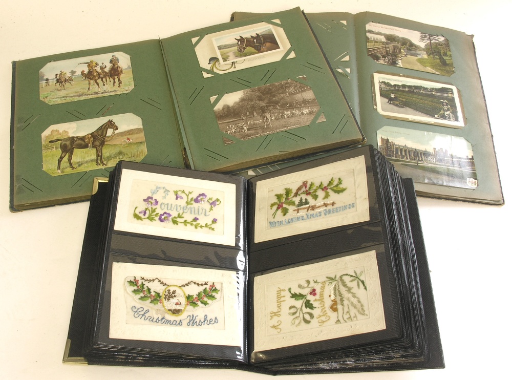 Three albums of various postcards to include WWI silks, Louis Wain, Donald McGill etc.