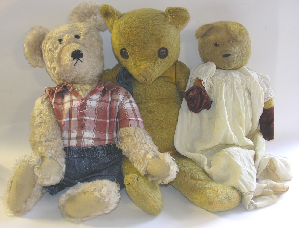 A 30" jointed teddy bear, a 22" jointed teddy bear and another modern bear (3).