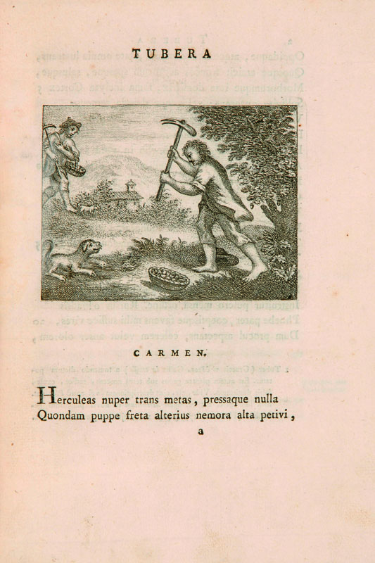 Gastronomia Vigo, Giovanni Bernardino. Tubera terrae carmen. Torino, Tipografia Regia, 1776.