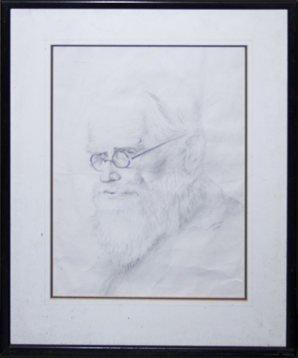 A framed drawing of an elderly gentleman. Image size 35cm x 24.5cm