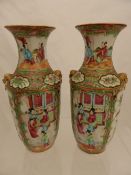 A Pair of Chinese Famille Rose Vases depicting domestic with flowers and butterflies together with