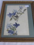 Watercolour Still Life `Blue Vase` J Leighton together with a watercolour on paper depicting