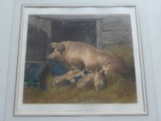 Two piglet prints - Match of the Day signed L Sandys Lumsdaing, limited edition 320 / 500 approx. 25