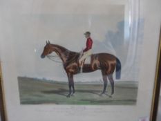Coloured engraving of a  racehorse  ` Nutwith ` By  C. Hunt, winner of the St Ledger 1843, approx.