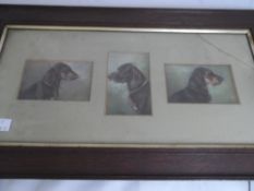 Six miniature prints of various dogs contained in two frames, Francis Daily signature to some.