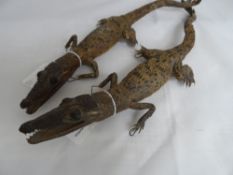 Pair of vintage taxidermy alligators