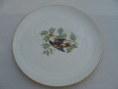 Hutschentreuther Cabinet Plate depicting an exotic bird. 35 cms