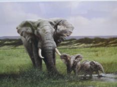 P. Hodge Limited Edition Print depicting Elephant and Calves, 63/295, 84 x 55 cm`s.