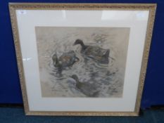 Mabel Dawson - An Original Watercolour; the painting depicting three ducks on water and signed to