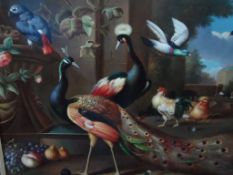 An Original Oil on Board; the painting depicting exotic birds peacock and parrots.