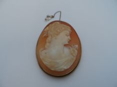9 ct gold Cameo, A large shell cameo carved with a classical female profile, in a gold rope