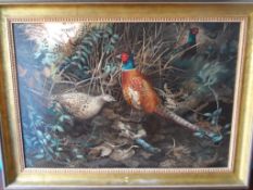 Berrisford Hill – An Original Oil on Board; the painting depicting pheasants, approx. 80 x 55 cms.