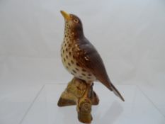 Beswick Thrush nr 2318.