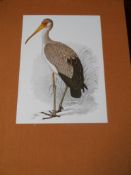 Limited Edition Book no 3898 of 5026 in original sleeve, `Bird Paintings of C G Davies` Southern