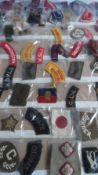 A LARGE COLLECTION OF MILITARY CLOTH INSIGNIA INCLUDING U.K, CANADIAN AND AUSTRALIAN. REGIMENT