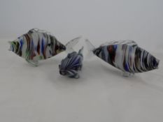 Three Murano style multi coloured glass fish, approx. 21 cms, 24 cms and 26 cms