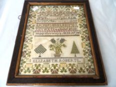 Alphabet Sampler. A 19th century needlework alphabet sampler, framed and glazed. 38 x 47 cms.