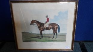 A FRAMED AND GLAZED COLOURED ENGRAVING OF A RACEHORSE ` NUTWITH ` BY C. HUNT - WINNER OF THE ST