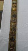 A MILITARY TROPHY BELT WITH APPROX. TWENTY MILITARY BADGES ETC. WORCESTERSHIRE YEOMANRY, GLOS