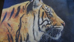 TWO ORIGINAL OILS ON CANVAS - ONE DEPICTING A TIGER 41 X 31 THE OTHER A WOLF 31 X 26 BY DAVID