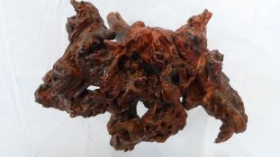 A CHINESE VARNISHED ROOT.