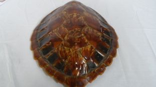 AN ANTIQUE TURTLE SHELL