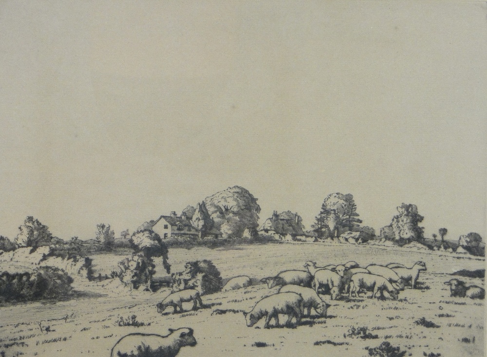 Allan Gwynne-Jones (1892-1982)
etching, sheep in the fields, signed in pencil, dated 1927, p 8.5"